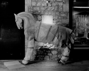 Joubert's Horse - 2009 (C.King)